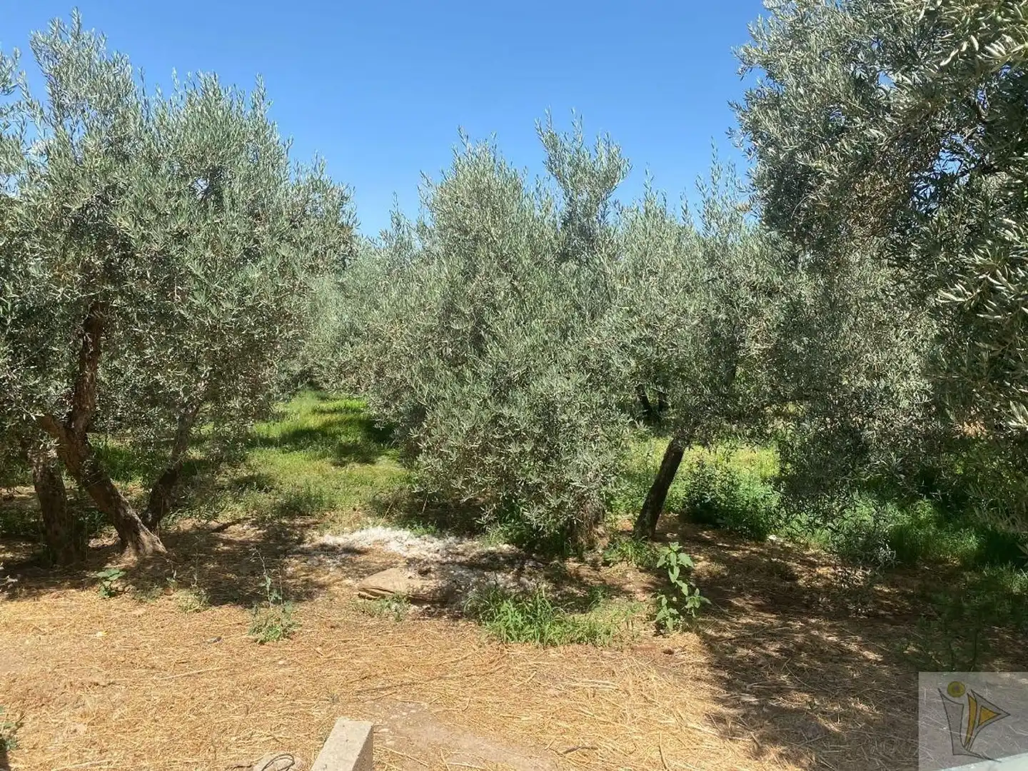 Country homes for sale in Pago del Miércoles, Gójar