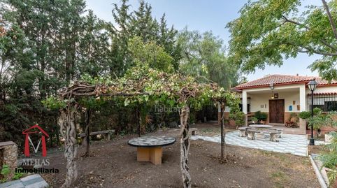 Foto 5 de Finca rústica en venta en Centro, Antequera