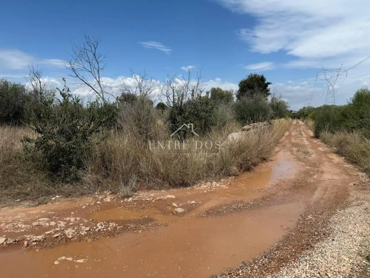 Terreny rústic en venda a Poligono POLIGONO 4 PARCELA 783, imagen 2