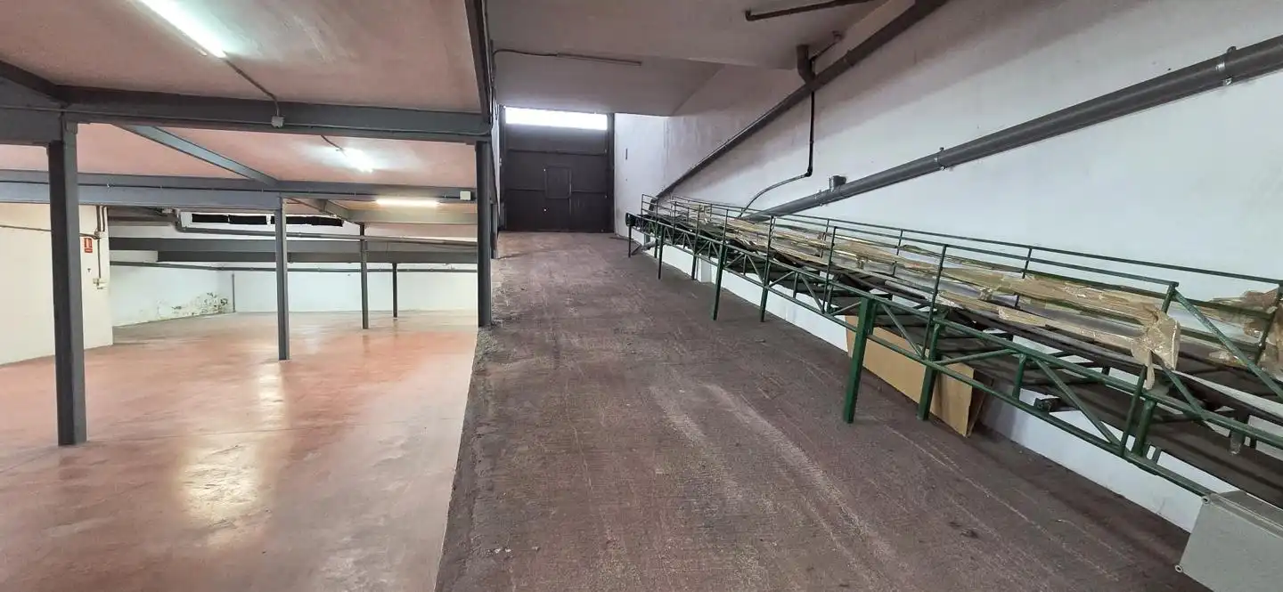 Nave industrial de alquiler en Elche / Elx