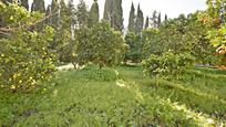 Garden of Country house for sale in Jerez de la Frontera  with Air Conditioner, Private garden and Storage room