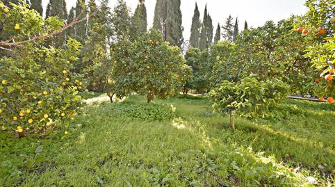 Foto 3 de Finca rústica en venda a Parque Atlántico - Ronda este, Cádiz