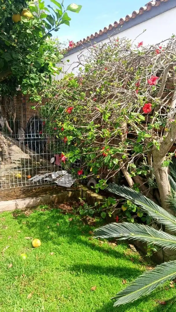 Chalet con piscina en venta en El Zabal - Santa Margarita, imagen 34