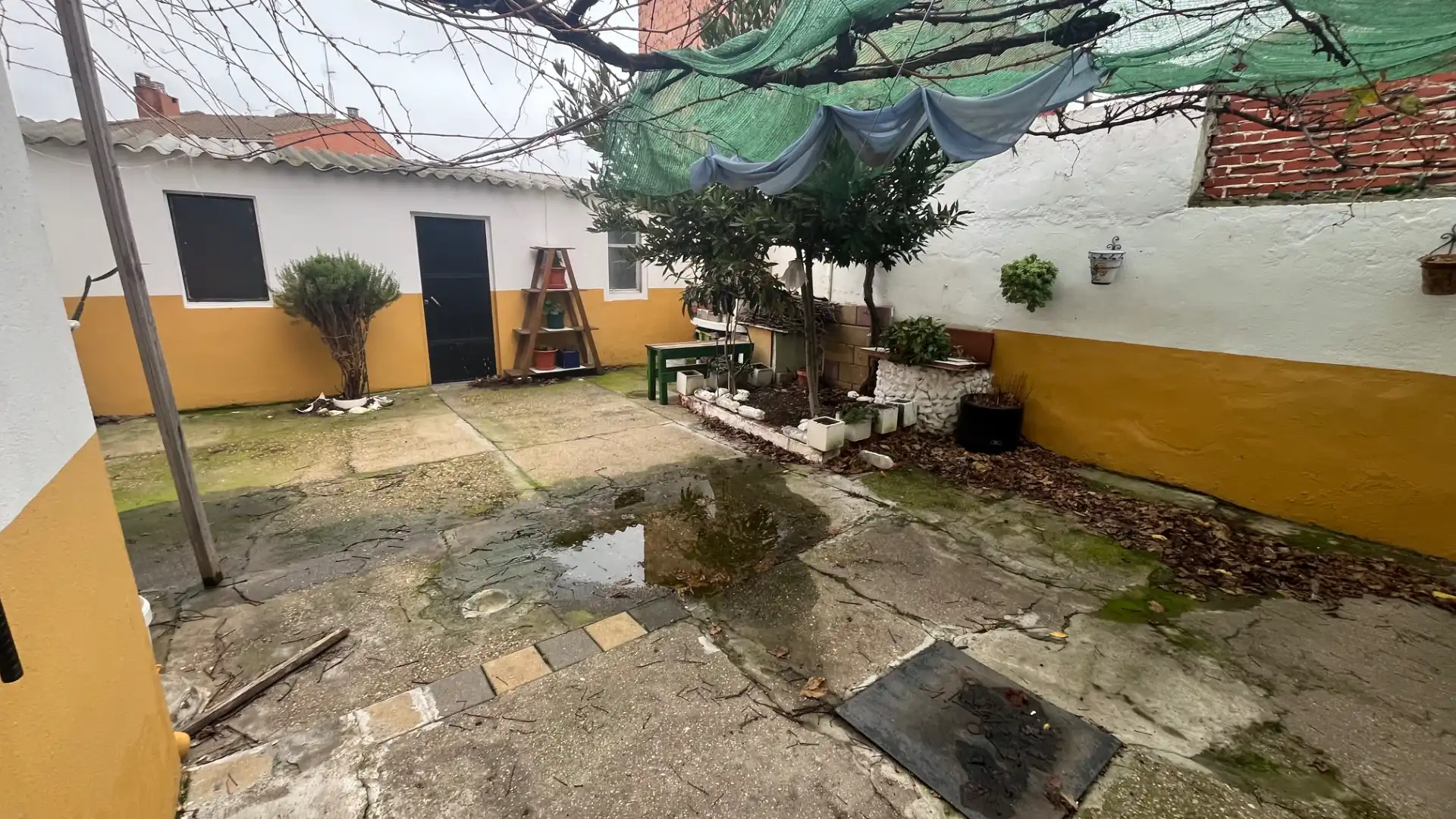 Jardí de Casa o xalet en venda en Valladolid