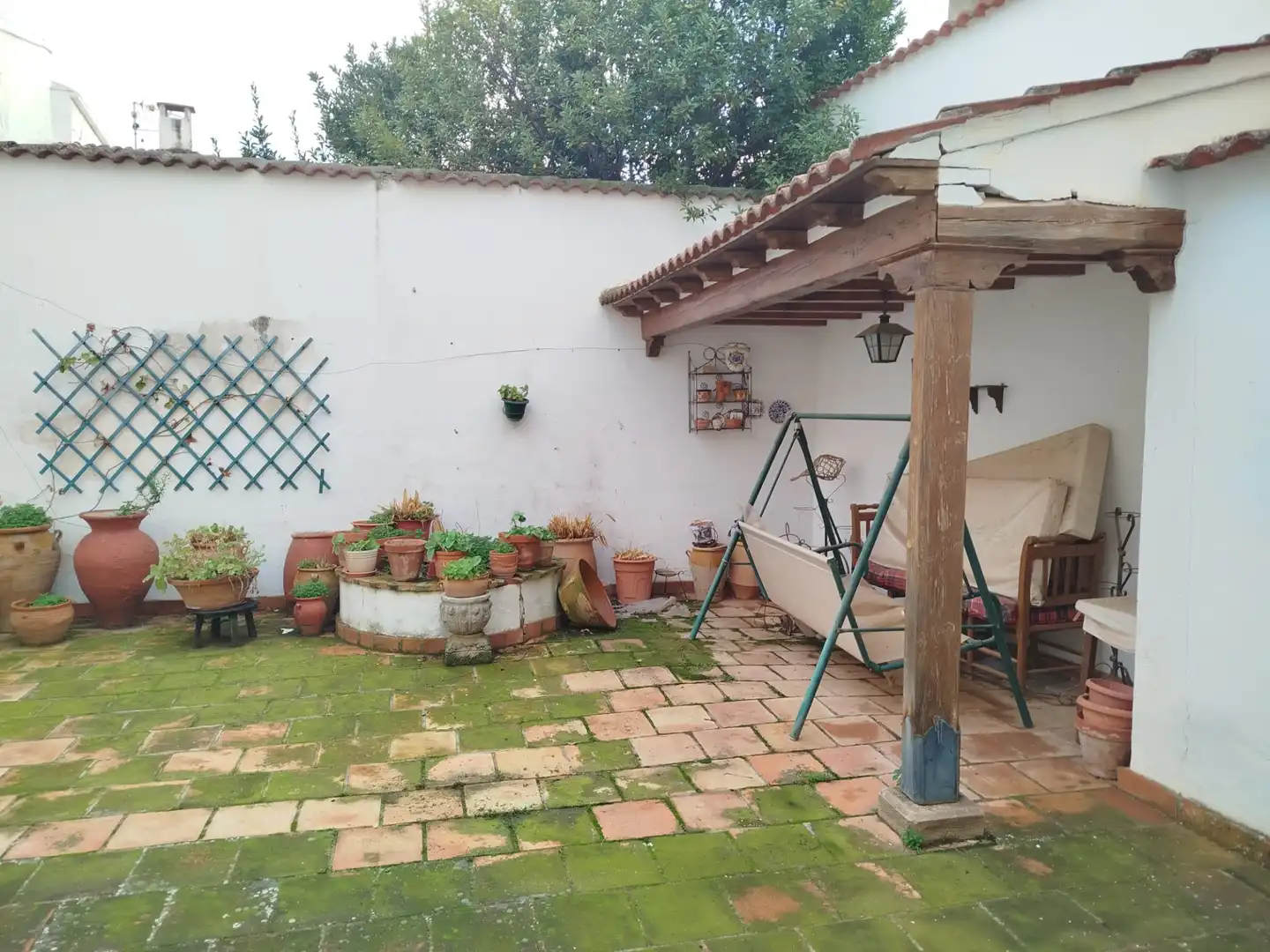 Garden of Detached homes for sale in Villanueva de los Infantes (Ciudad Real)  with Heating, Private garden and Storage room
