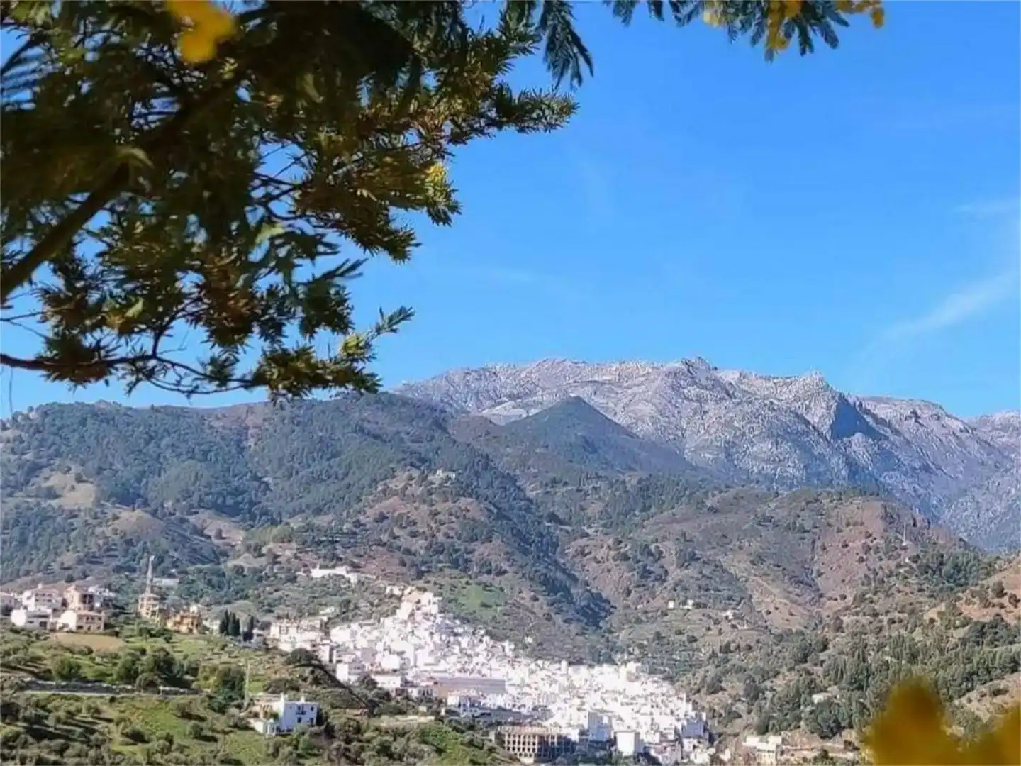 Vista exterior de Pis en venda en Tolox amb Jardí privat, Traster i Moblat