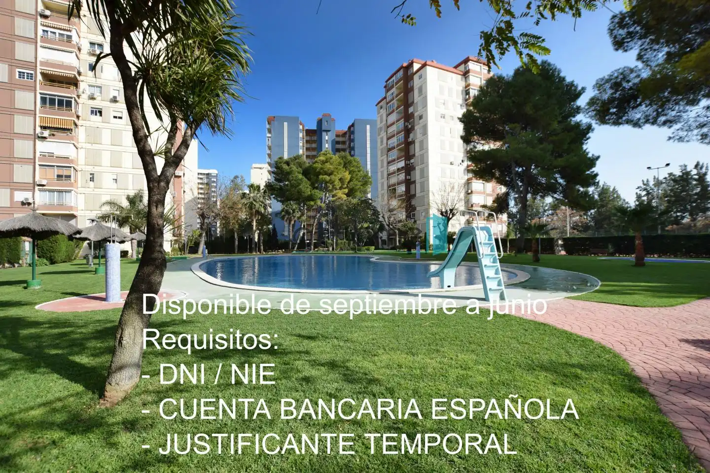 Piscina de Apartament de lloguer en La Pobla de Farnals amb Aire condicionat, Parquet i Moblat