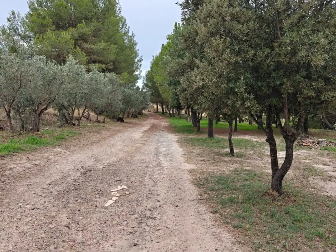 Terreno en venta en Manresa