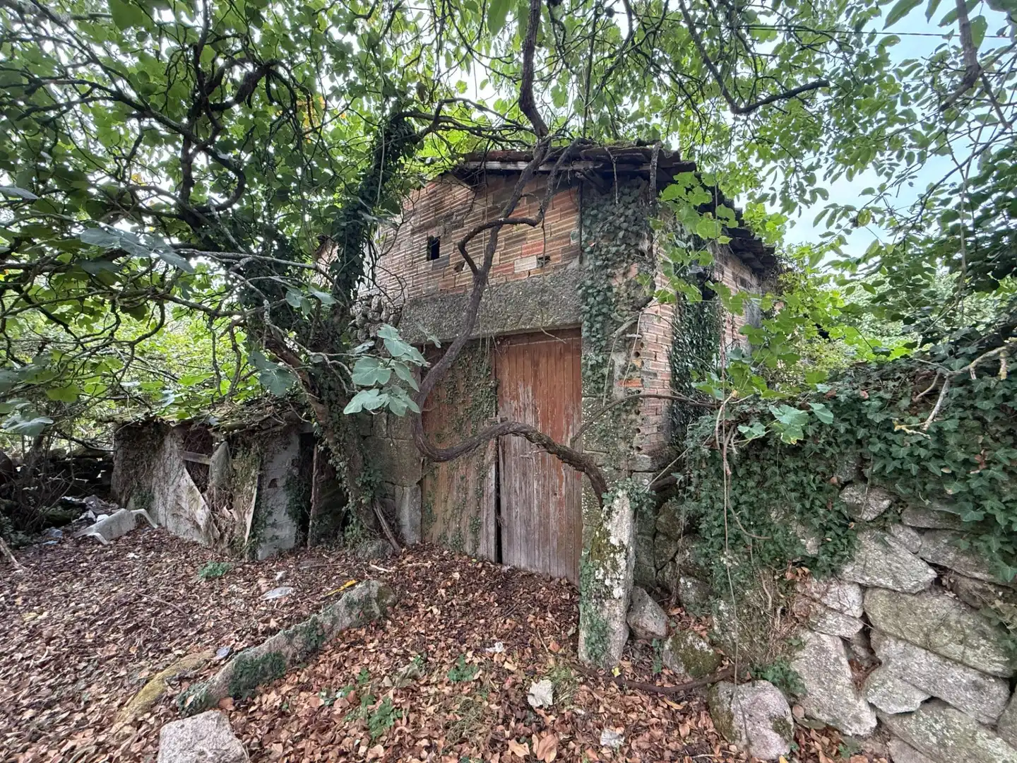 Außenansicht von Haus oder Chalet zum Verkauf in Sandiás, Ourense