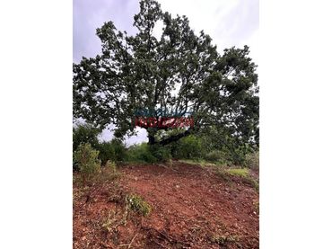 Casa rústica en venda a Poligono 38 Paraje 193 Las Olivas