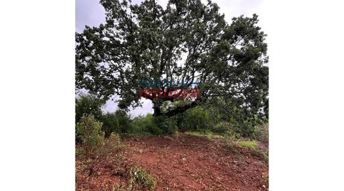 Venta de Finca Rústica y Forestal en Villar del Pedroso Naturaleza y Rentabilidad en el Geoparque de Ibores.