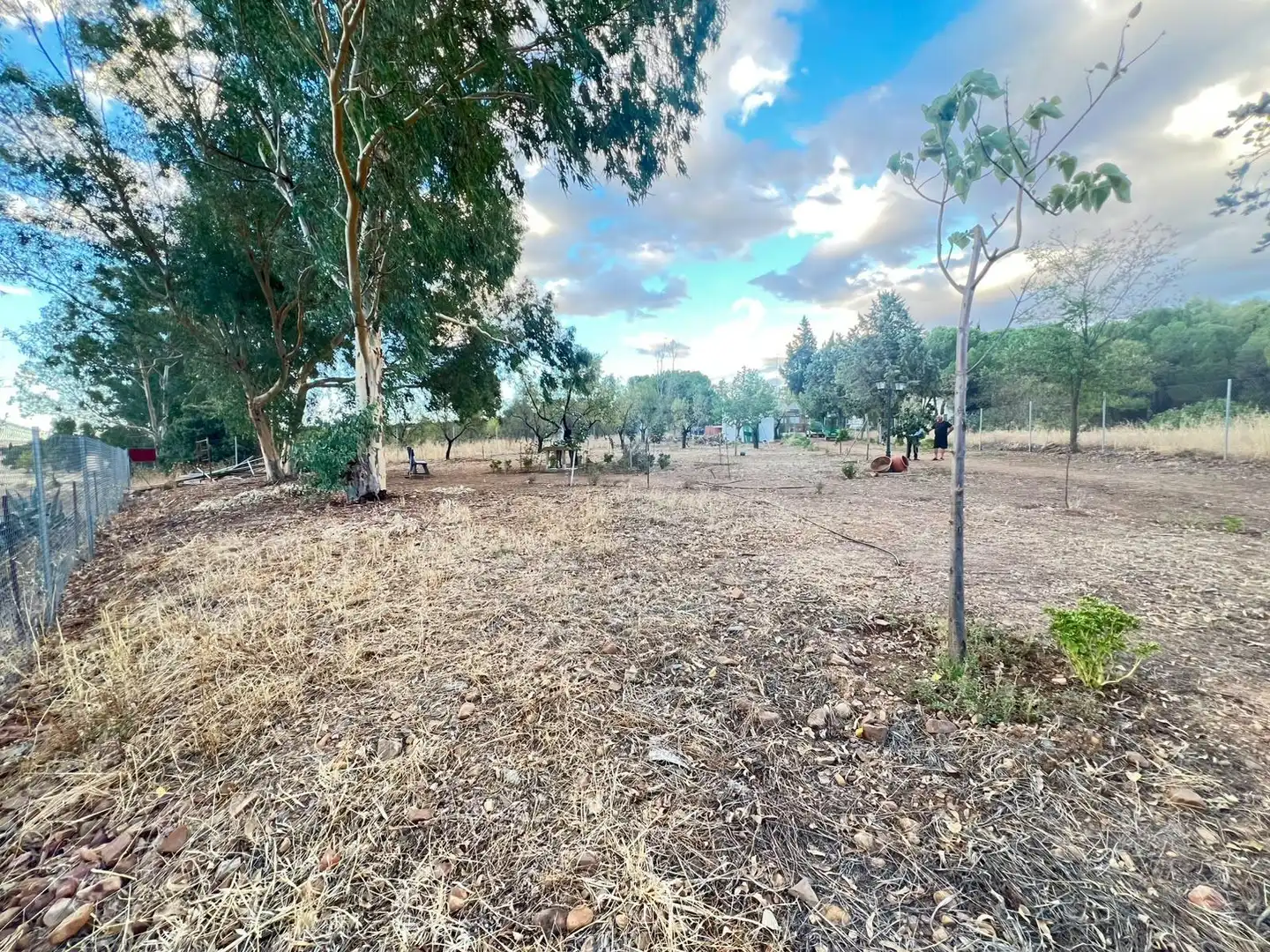 Casa rústica con piscina en venta en Porzuna, imagen 12