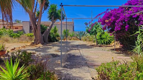 Foto 3 de Casa o xalet de lloguer a Ses Salines Poble, Ses Salines