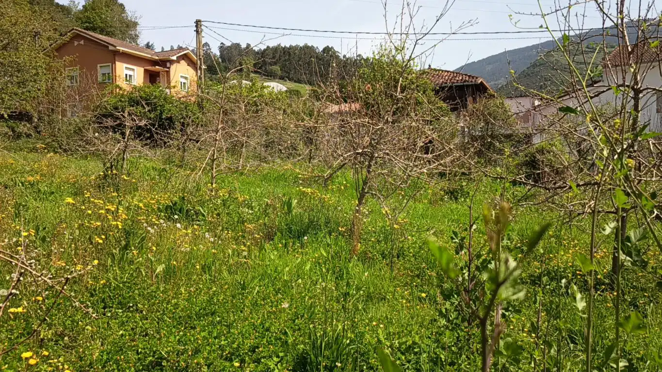 Residential land for sale in CD-1, imagen 11