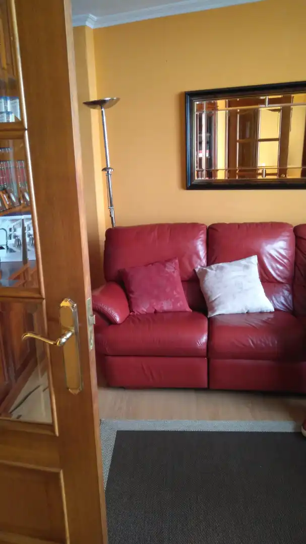 Living room of Flat for rent in Santiago de Compostela   with Furnished