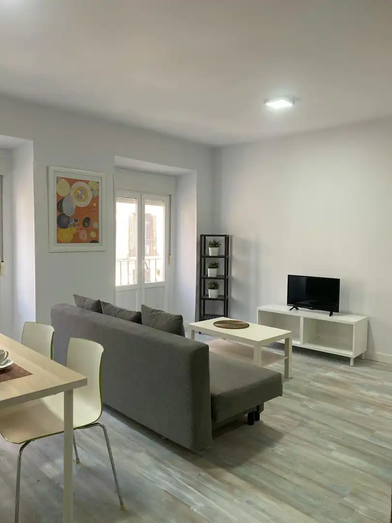 Living room of Flat for rent in Centro