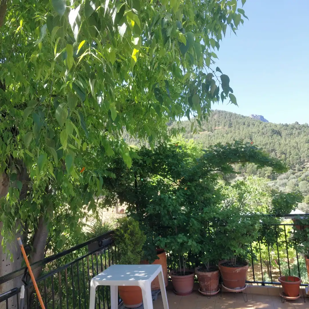 Ático en venta en Yeste con Terraza, Amueblado y Horno