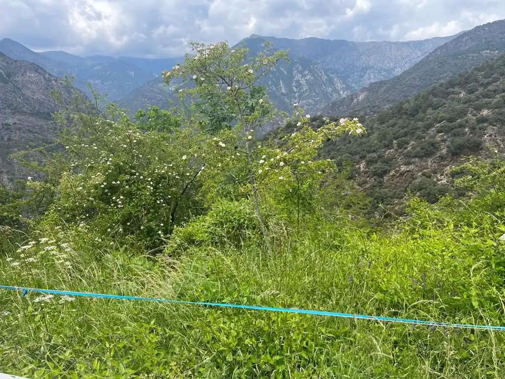 Residencial en venda en Sant Julià de Lòria