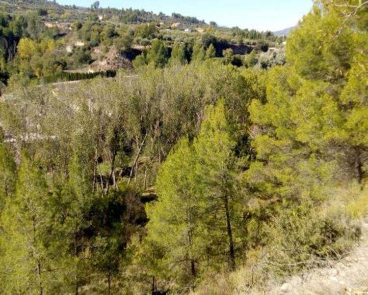Residencial en venda a Proc. Simplificado, Penàguila