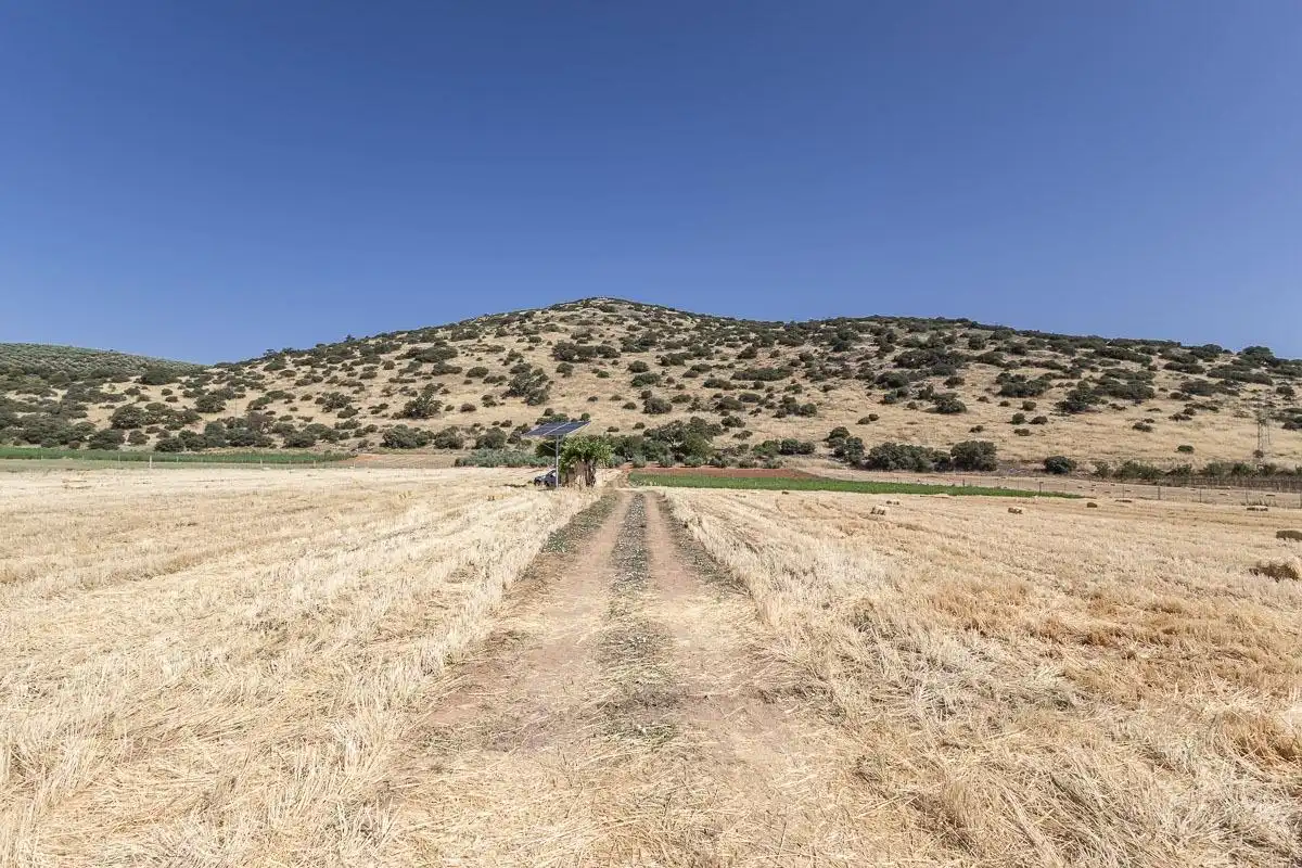 Land for sale in Montefrío