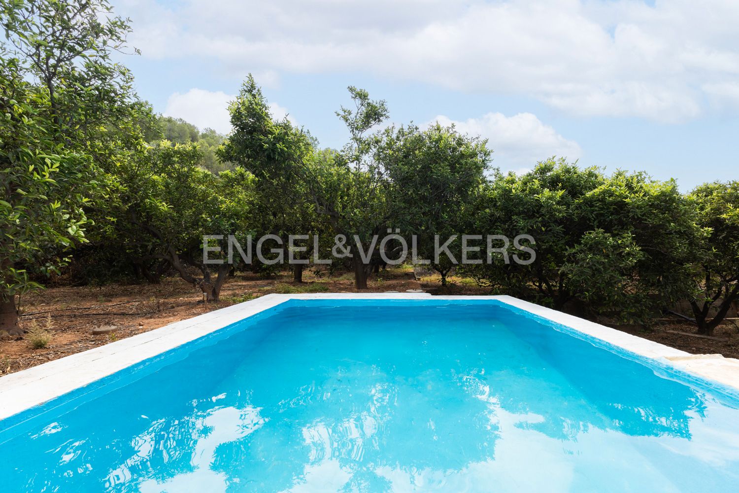 Swimming pool of House or chalet for sale in Alzira  with Heating and Storage room