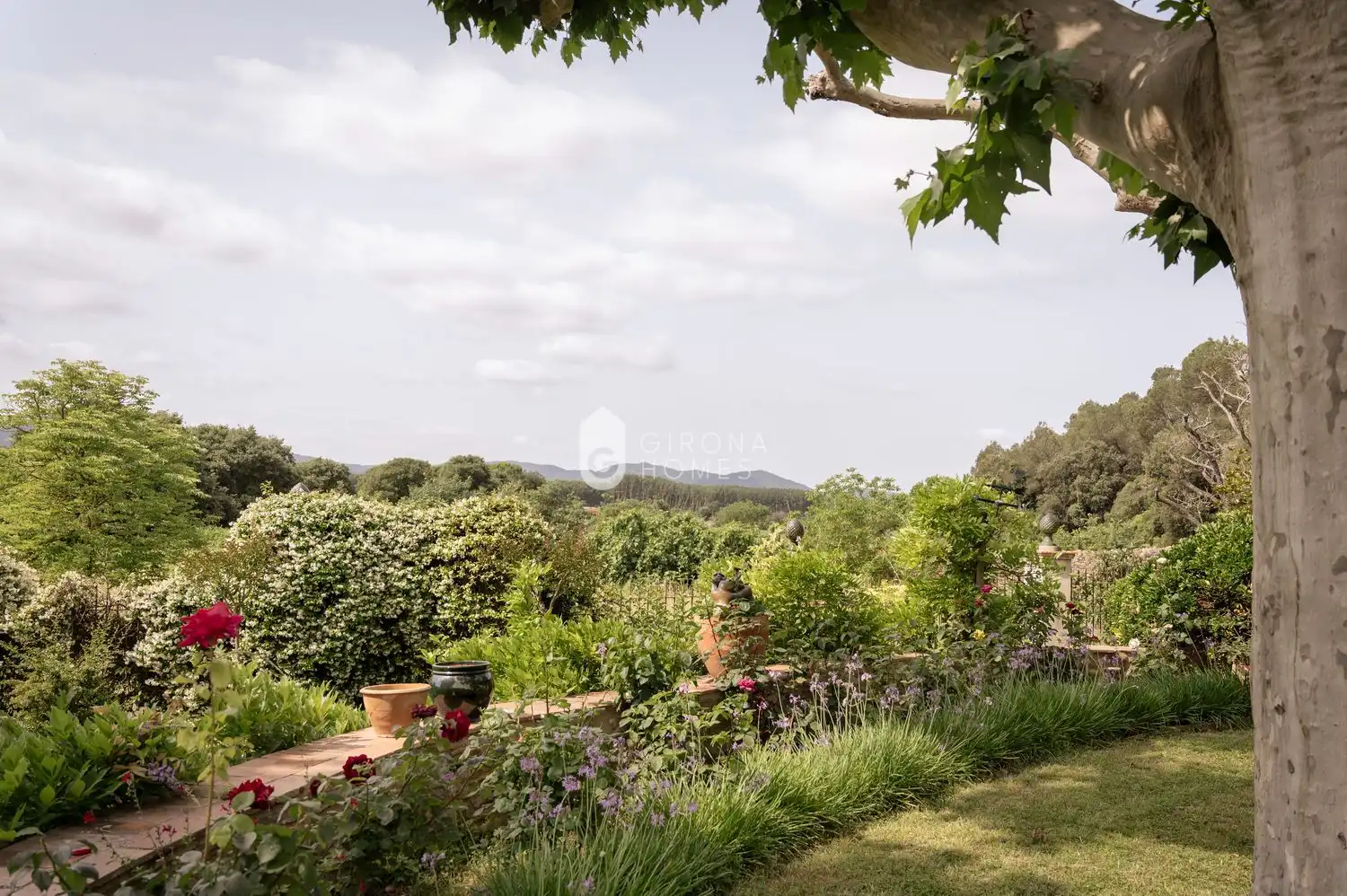 Jardín de Casa o chalet en venta en Cervià de Ter con Piscina