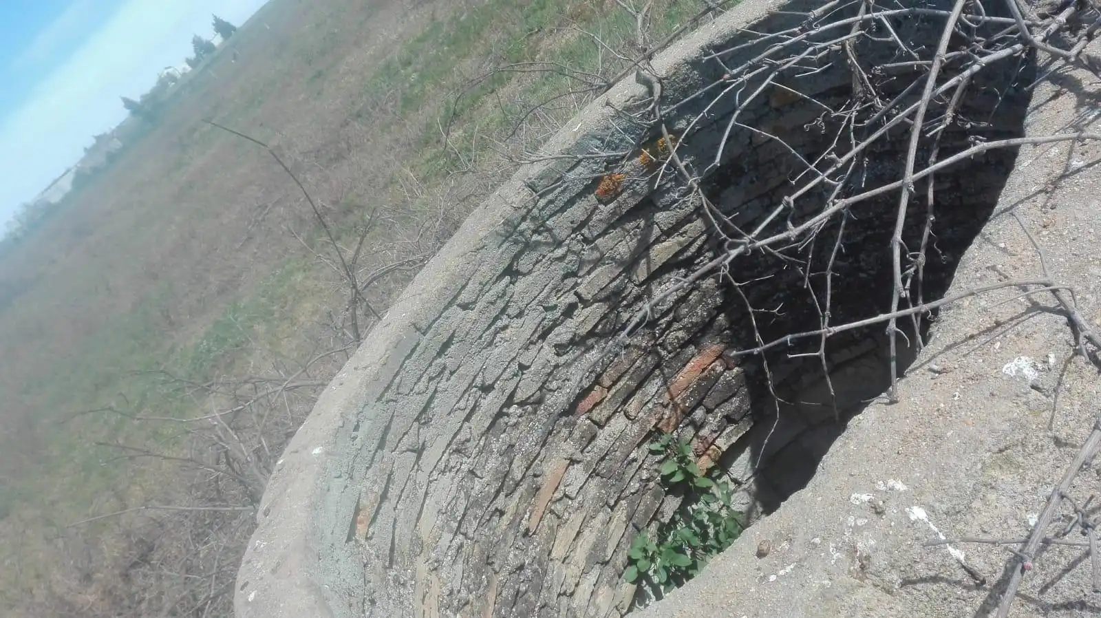 Vista exterior de Finca rústica en venta en La Palma del Condado