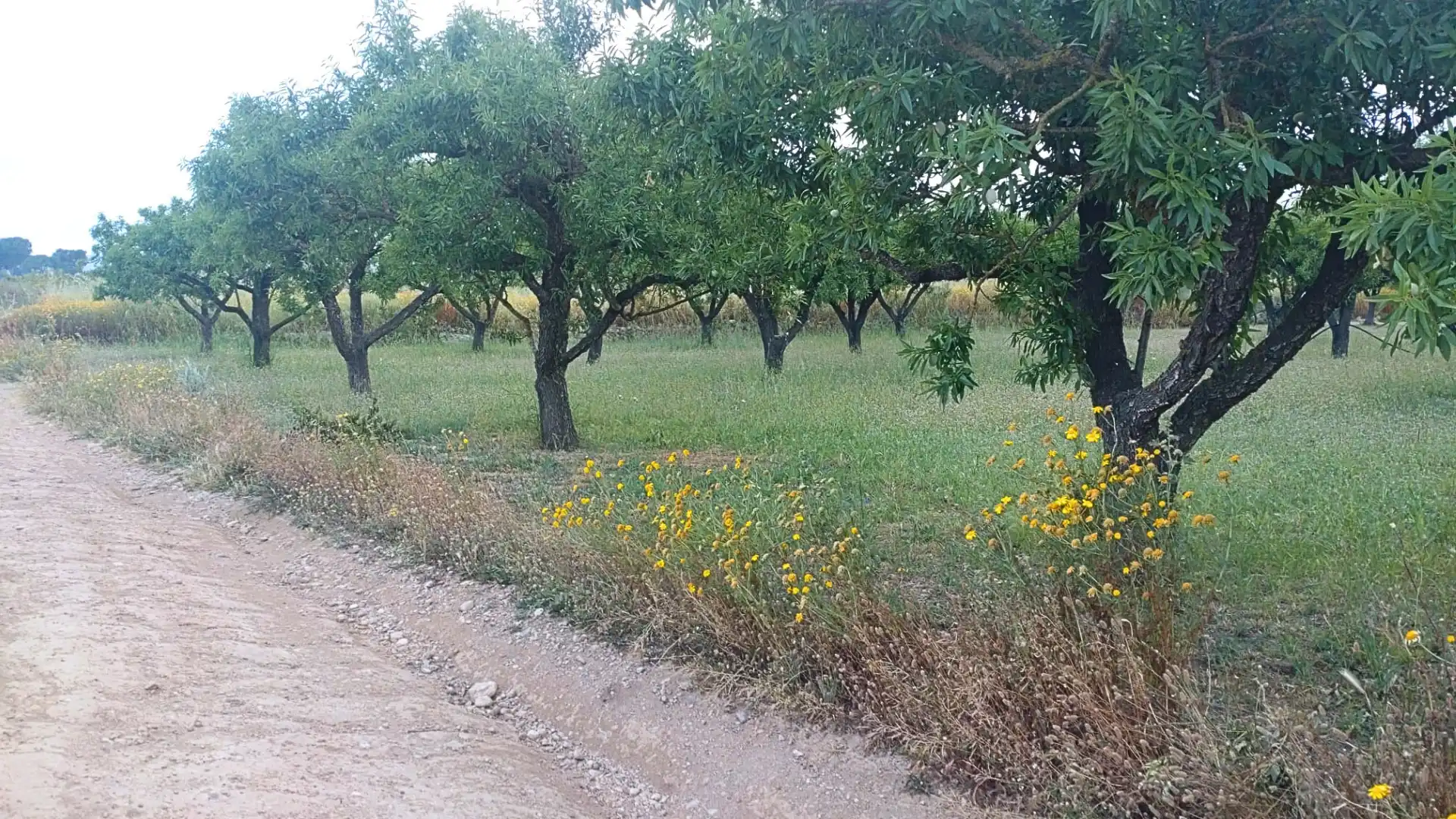 Terreno residenziale in vendita a Camino Nou, imagen 18
