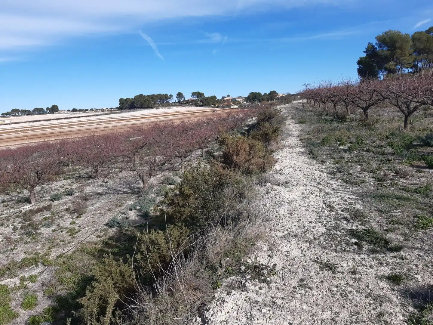 Terrain rustique à vendre à Plaça Numero 7 499, imagen 5