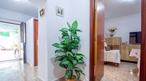 Foto 3 de Casa o chalet en venta en San Roque - Ronda Norte, Badajoz Capital