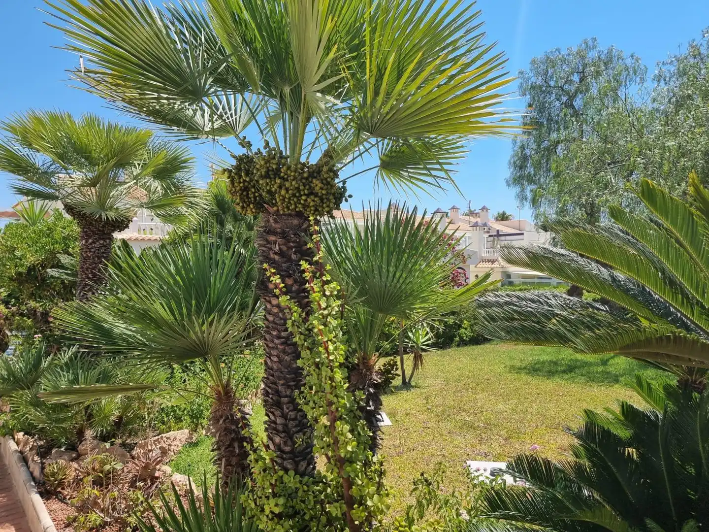 Apartment zum Verkauf in Los Balcones - Los Altos, imagen 5
