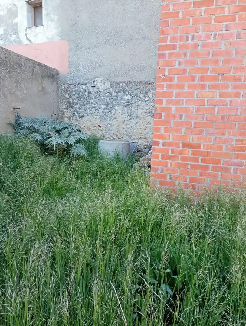 Casa o xalet en venda a Aldea de San Miguel