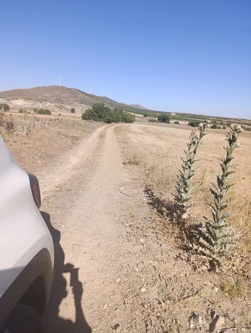 Rural land for sale in N/A, imagen 12