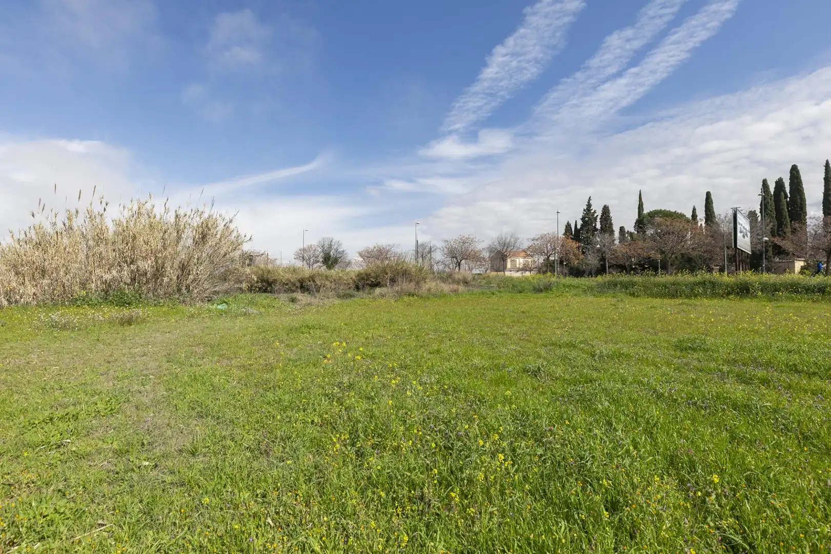 Land for sale in Granada