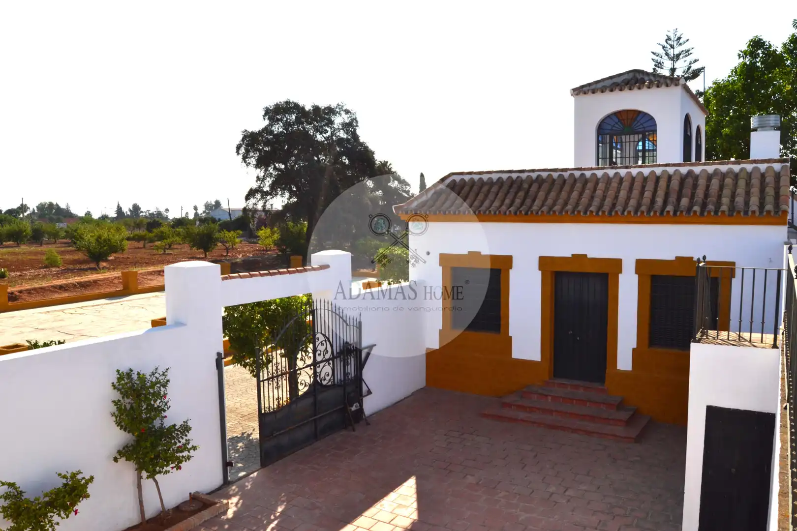 Jardí de Casa o xalet en venda en Sanlúcar la Mayor amb Jardí privat, Terrassa i Piscina