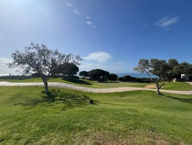 Vista exterior de Planta baixa en venda en Marbella amb Aire condicionat, Calefacció i Jardí privat