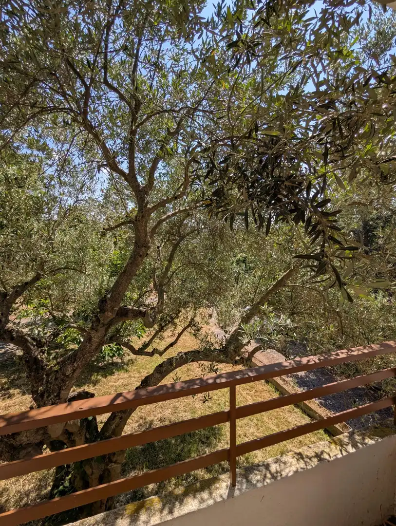 Jardín de Casa o chalet en venta en Estella / Lizarra con Aire acondicionado, Terraza y Trastero