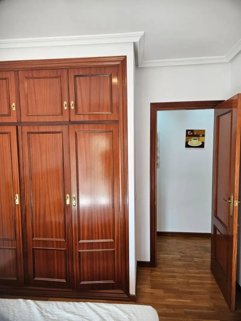 Flat with garden to rent in Casco Antiguo, imagen 8
