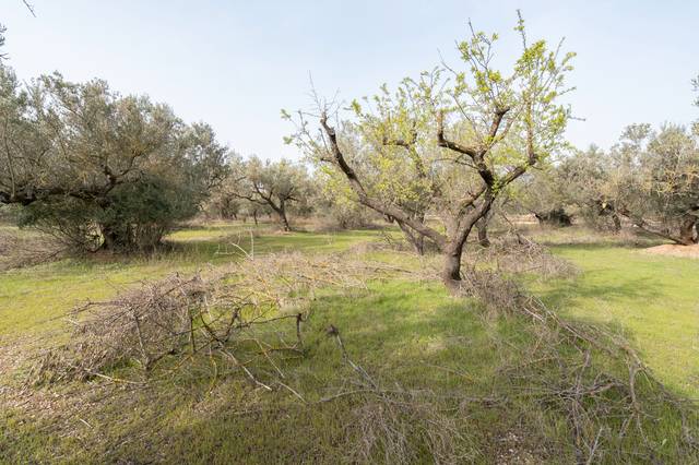 Terreno en Venta en N/A, -1 en Mas de Barberans