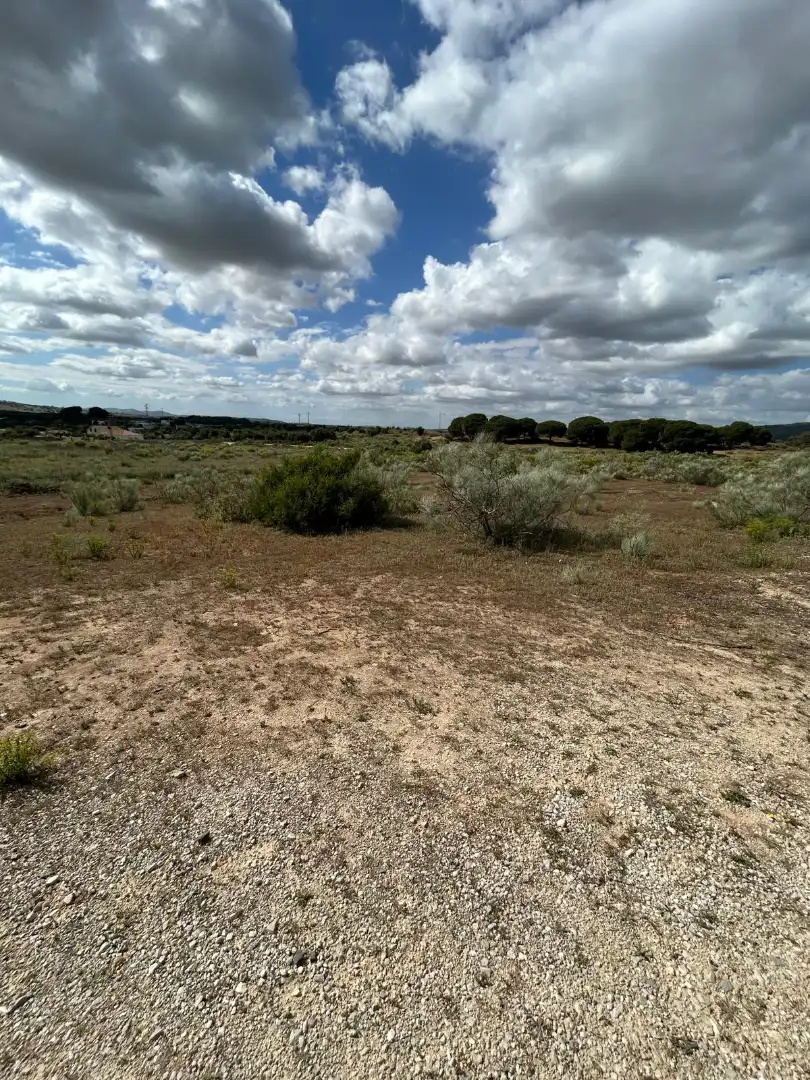 Terrain rustique à vendre à Arcos de la Frontera, imagen 17