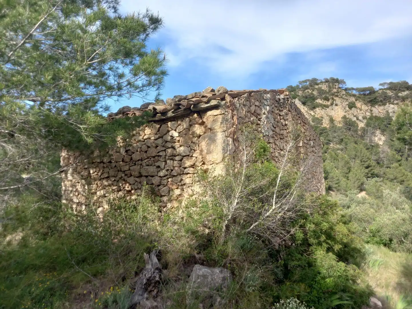 Rural land for sale in El Pinell de Brai, imagen 33