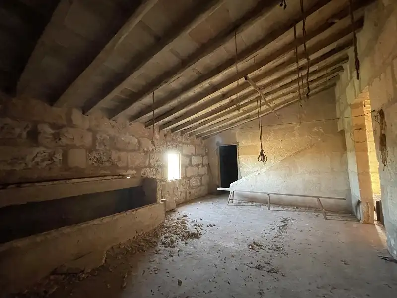 Finca rústica en venta en Campos con Trastero