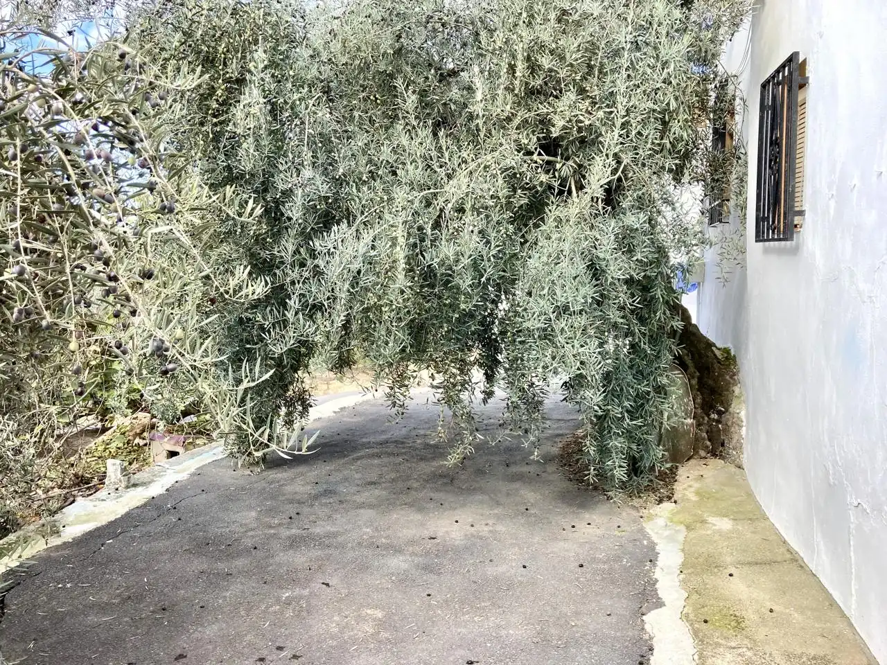 Casa en venta en Diseminado la Parrilla, imagen 31