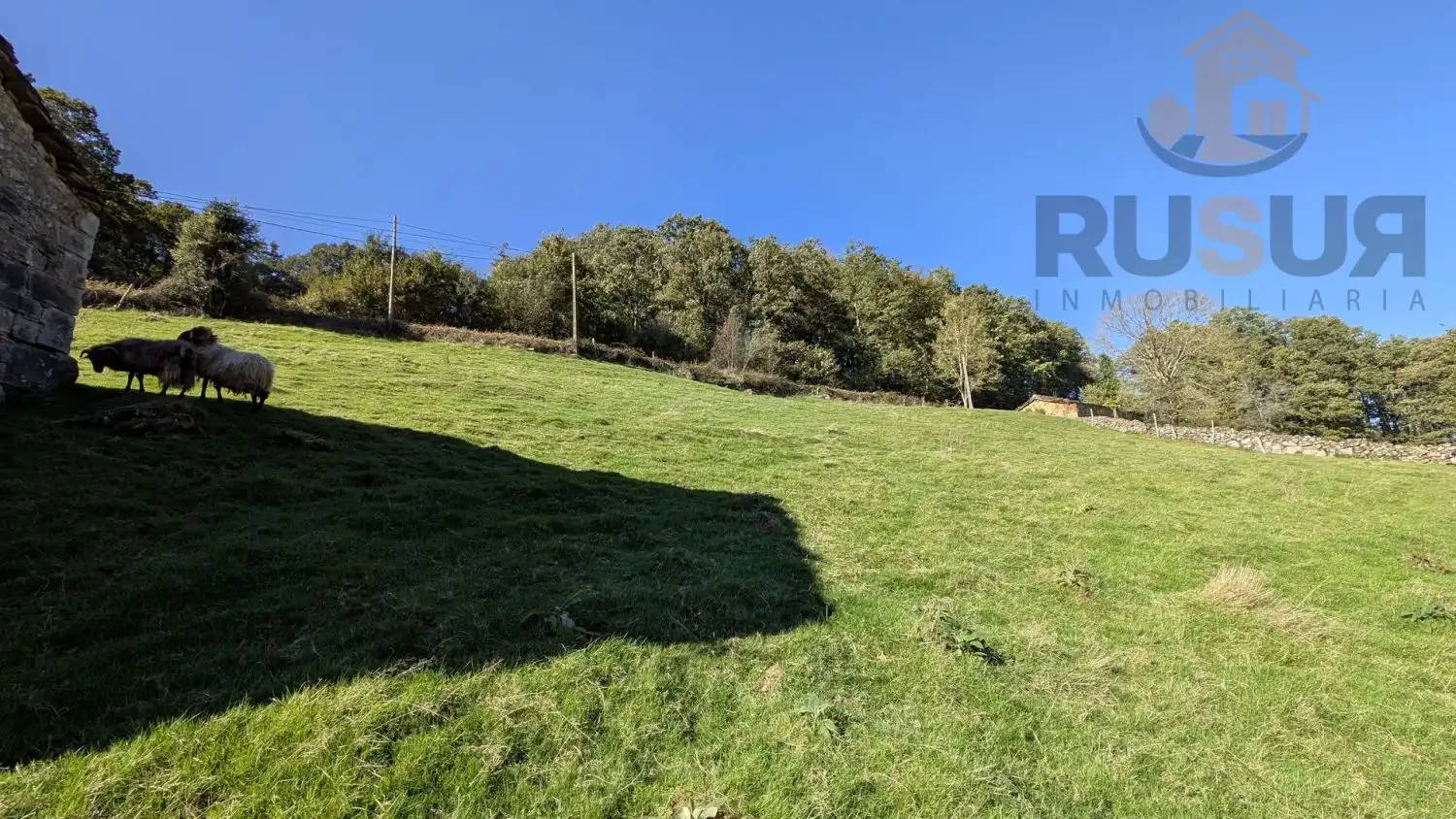 Casa rústica en venta en EL ROSARIO 374, imagen 18