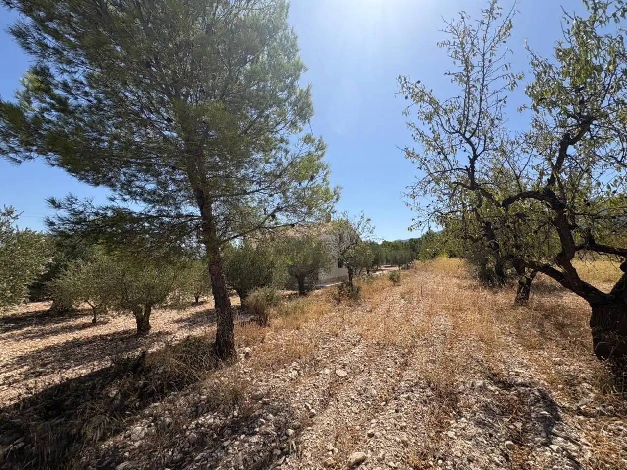 Villa avec jardin à vendre à Castalla, imagen 37