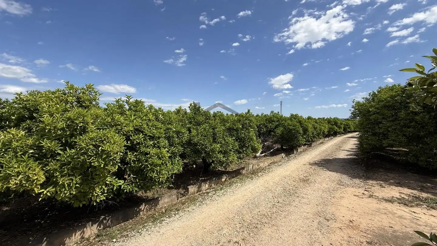 Terrain rustique à vendre à La Pobla Llarga, imagen 7