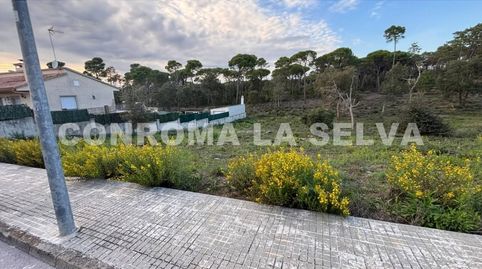 Urbanización King Park es una zona residencial de carácter tranquilo y de ambiente familiar  SILS, immagine 3