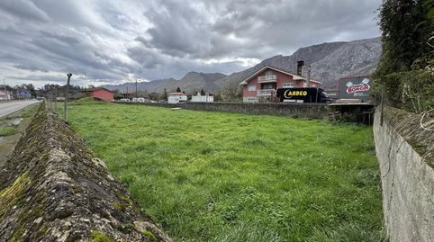 PARCELA EN QUINTANA, imatge 4