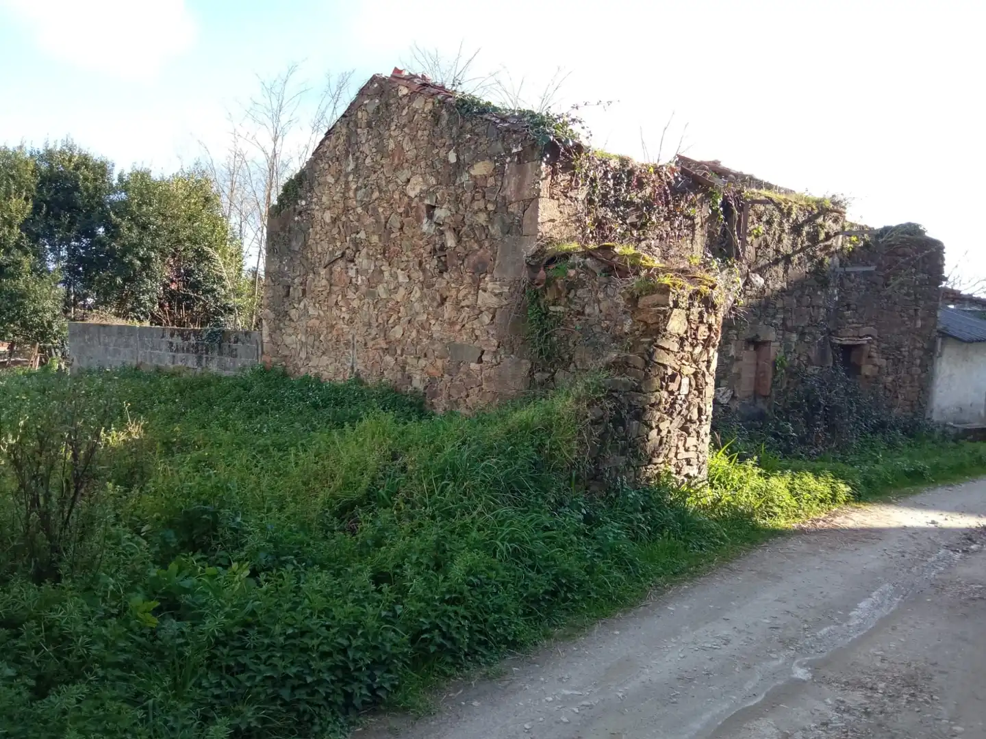 Exterior view of Houses for sale in Carballo