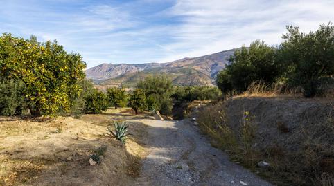 Foto 3 de Terreno en venta en Lecrín, Granada